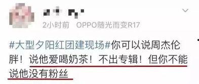娱乐吃瓜报道文案短句搞笑